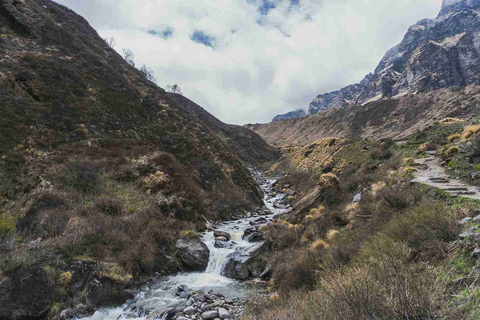 Charang Valley Trek
